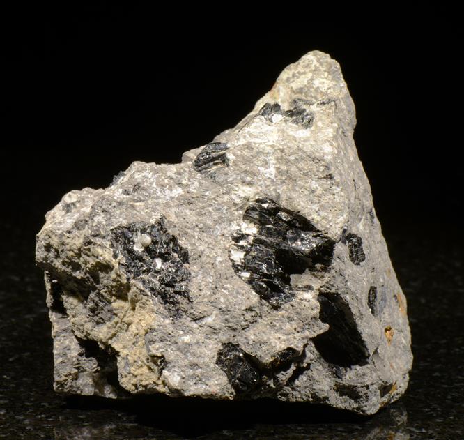 lamprophyre2020(2).jpg