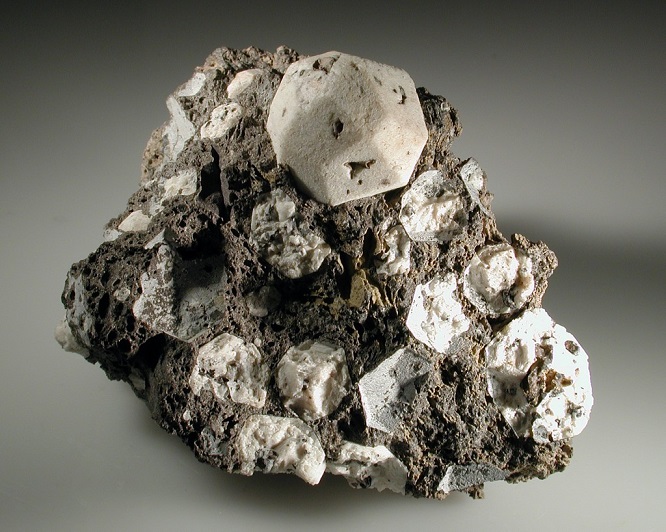 leucite2017(2).jpg