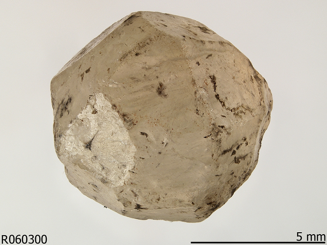 leucite2020.png
