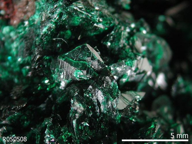 Malachite mineral on sale