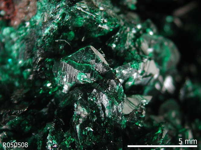 malachite2020(1).jpg