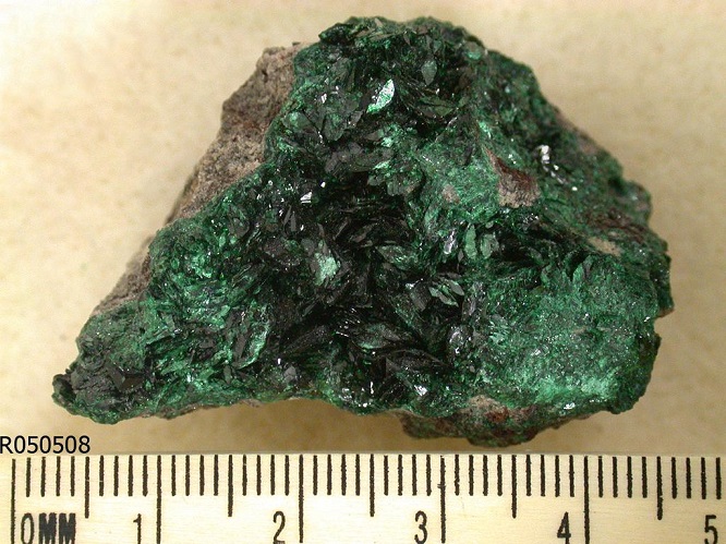 malachite2020(2).jpg