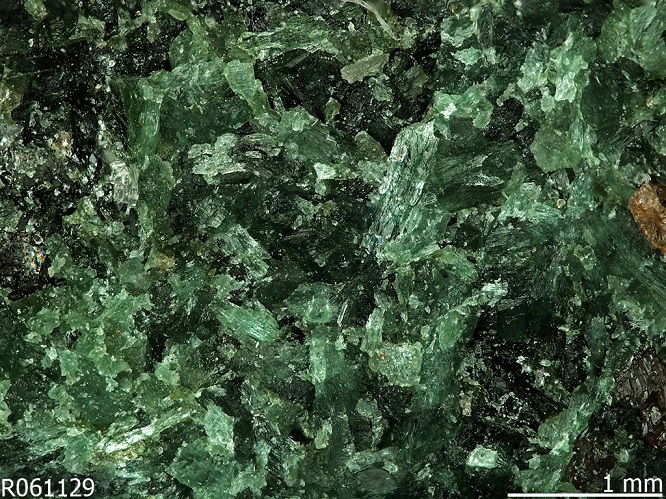 omphacite2020(1).jpg