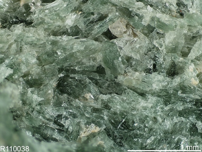 omphacite2020(2).jpg