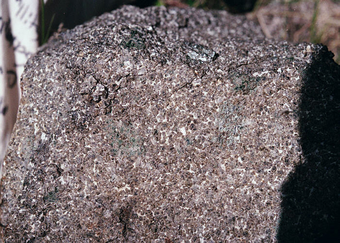 orthopyroxenite(2).jpg