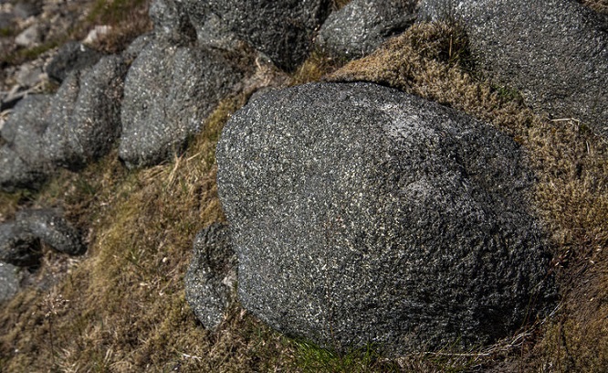 pitchstone2020(1).jpeg