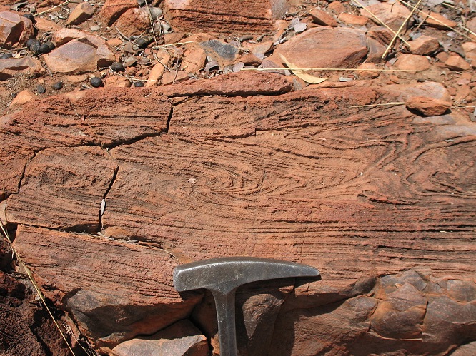 rhyolite2020(3).jpg