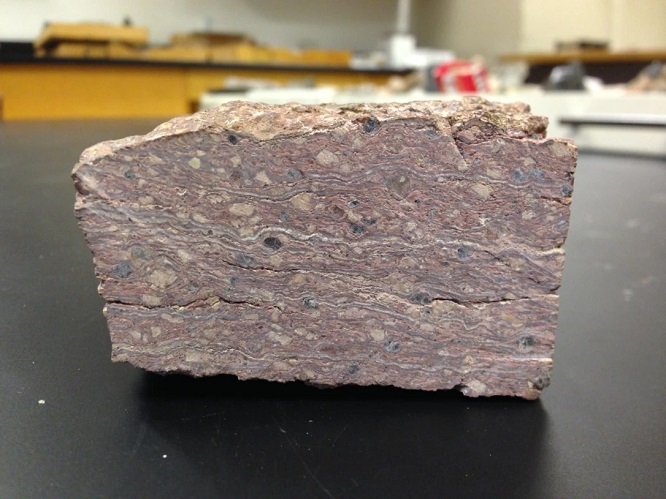 rhyolite2020(6).jpg