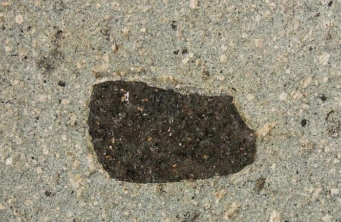 xenolith2020.jpg