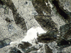 cornubianite1(10).jpg