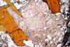 astrophyllite(49).jpg
