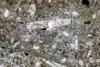 diopside2013(3).jpg