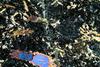 kimberlite(canada)(14).jpg