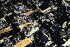 kimberlite(canada)(16).jpg