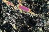 kimberlite(canada)(20).jpg