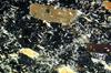 kimberlite(canada)(22).jpg