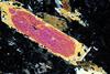 kimberlite(canada)(28).jpg