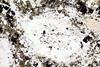 kimberlite(canada)(29).jpg