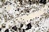 kimberlite(canada)(35).jpg