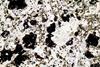 kimberlite(canada)(39).jpg