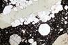 leucite0964(11).jpg
