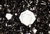 leucite0964(7).jpg