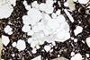 leucite0964(8).jpg