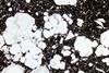 leucite0964(9).jpg