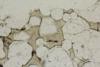leucite2012a(4).jpg