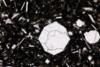 leucite2012a(9).jpg