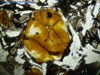 olivinaalterata175(2).jpg