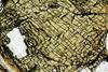 pyroxene2020(17).jpg