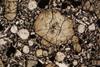 pyroxene2020(19).jpg