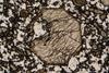 pyroxene2020(2).jpg