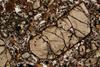 pyroxene2020(21).jpg