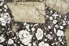pyroxene2020(22).jpg