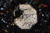 pyroxene2020(3).jpg