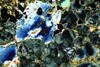 sanvenanzomelilite(2).jpg